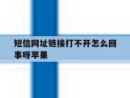 短信网址链接打不开怎么回事呀苹果