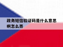 政务短信验证码是什么意思啊怎么弄