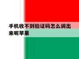 手机收不到验证码怎么调出来呢苹果