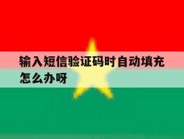 输入短信验证码时自动填充怎么办呀