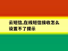云短信,在线短信接收怎么设置不了提示
