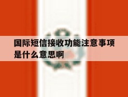 国际短信接收功能注意事项是什么意思啊