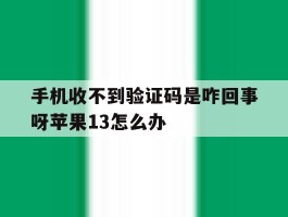 手机收不到验证码是咋回事呀苹果13怎么办