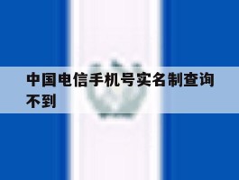 中国电信手机号实名制查询不到