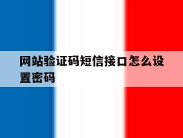 网站验证码短信接口怎么设置密码