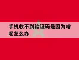 手机收不到验证码是因为啥呢怎么办