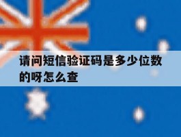 请问短信验证码是多少位数的呀怎么查