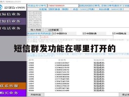 短信群发功能在哪里打开的
