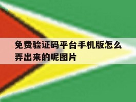 免费验证码平台手机版怎么弄出来的呢图片