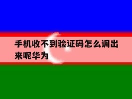 手机收不到验证码怎么调出来呢华为