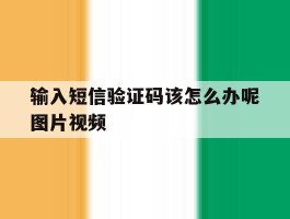 输入短信验证码该怎么办呢图片视频