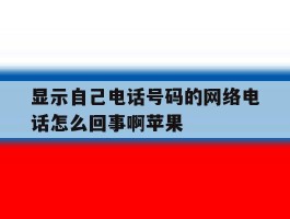 显示自己电话号码的网络电话怎么回事啊苹果