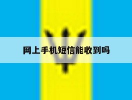 网上手机短信能收到吗