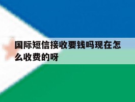 国际短信接收要钱吗现在怎么收费的呀