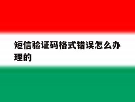 短信验证码格式错误怎么办理的
