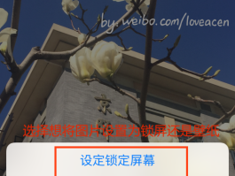 网页在线接收短信怎么设置密码