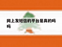 网上发短信的平台是真的吗吗
