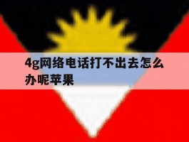 4g网络电话打不出去怎么办呢苹果