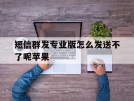 短信群发专业版怎么发送不了呢苹果
