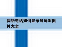 网络电话如何显示号码呢图片大全