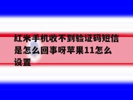 红米手机收不到验证码短信是怎么回事呀苹果11怎么设置