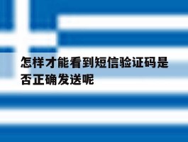 怎样才能看到短信验证码是否正确发送呢