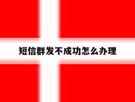 短信群发不成功怎么办理