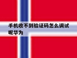 手机收不到验证码怎么调试呢华为