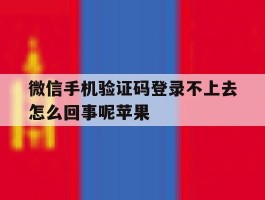 微信手机验证码登录不上去怎么回事呢苹果
