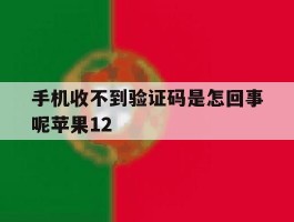手机收不到验证码是怎回事呢苹果12
