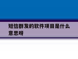 短信群发的软件项目是什么意思呀