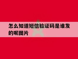 怎么知道短信验证码是谁发的呢图片