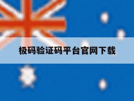 极码验证码平台官网下载