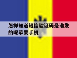 怎样知道短信验证码是谁发的呢苹果手机