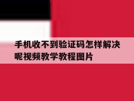 手机收不到验证码怎样解决呢视频教学教程图片