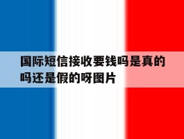 国际短信接收要钱吗是真的吗还是假的呀图片