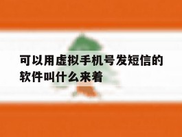 可以用虚拟手机号发短信的软件叫什么来着