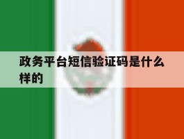 政务平台短信验证码是什么样的