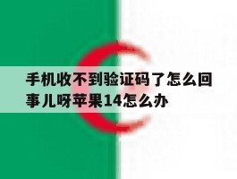 手机收不到验证码了怎么回事儿呀苹果14怎么办