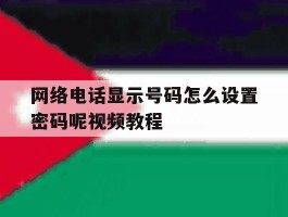 网络电话显示号码怎么设置密码呢视频教程