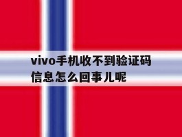 vivo手机收不到验证码信息怎么回事儿呢